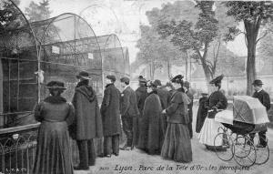 Les Perroquets - 1910