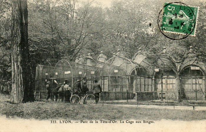 La Cage aux Singes - 1909