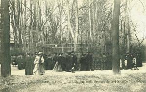 La Cage aux Ours