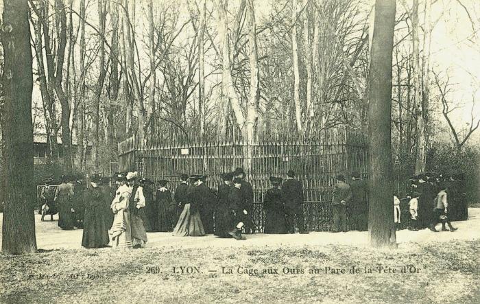La Cage aux Ours