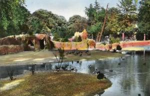 Les nouveaux bassins du Parc zoologique