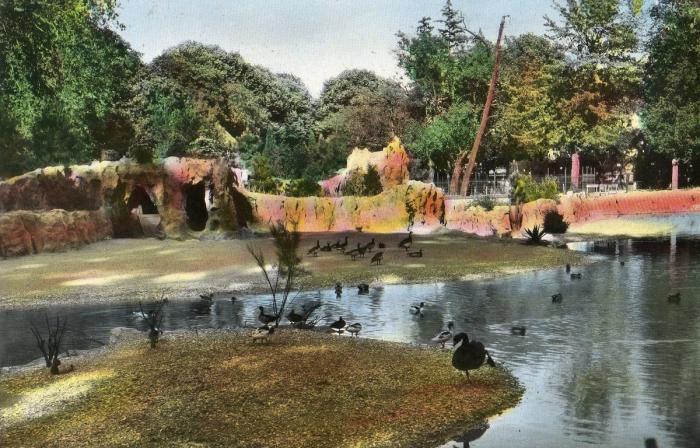 Les nouveaux bassins du Parc zoologique
