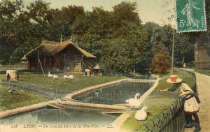 Un coin du Parc de la Tête d'Or - 1910