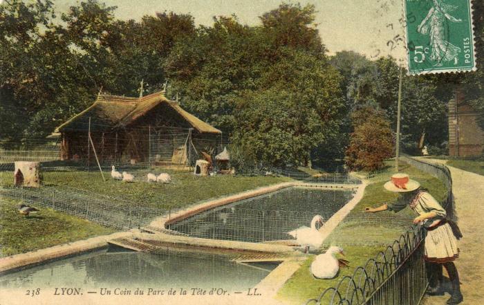 Un coin du Parc de la Tête d'Or - 1910