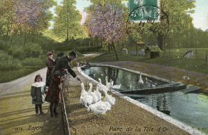 Parc de la Tête d'Or - 1909
