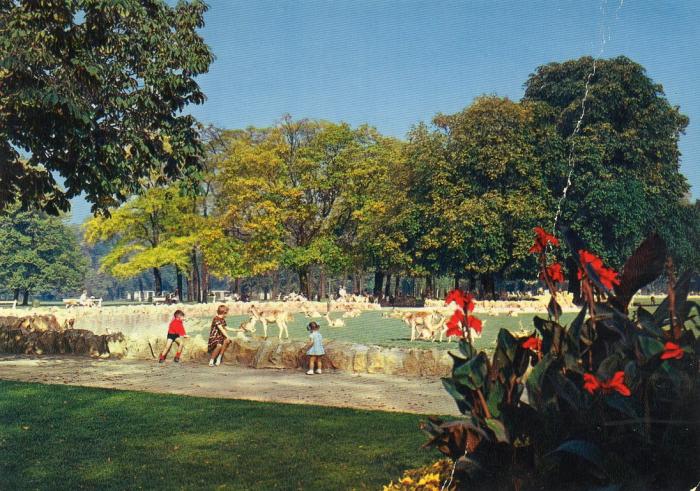 Le pré aux Daims