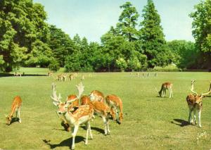 Le Parc des Daims - 1973