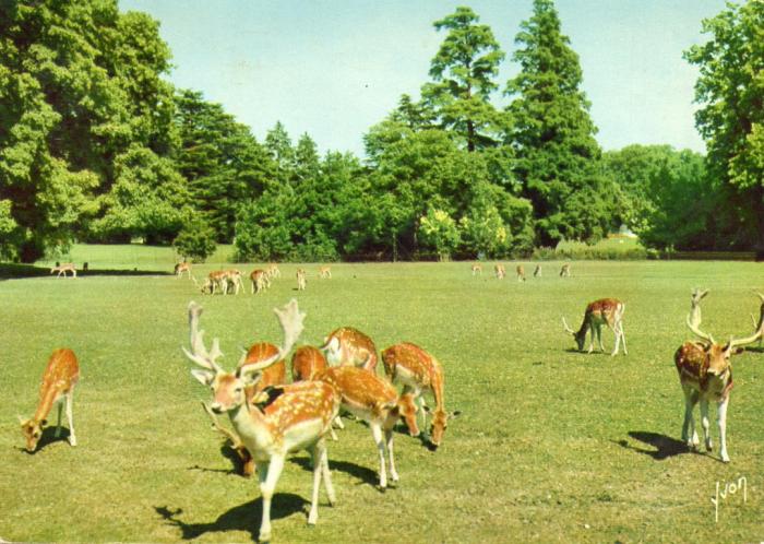 Le Parc des Daims - 1973