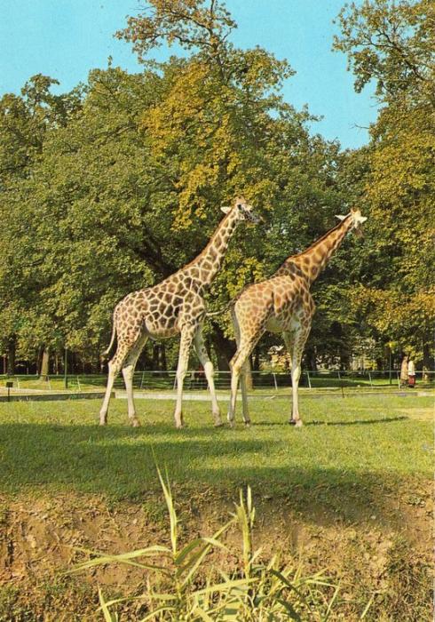 Parc de la Tête d'Or