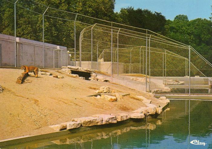La Fauverie - 1977