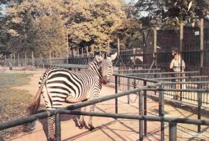 Parc Zoologique - 1979