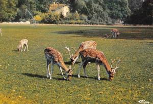 Le Parc de la Tête d'Or - 1966