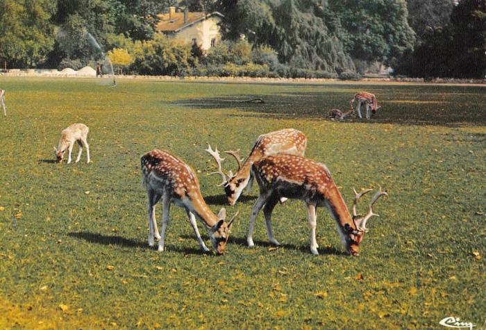 Le Parc de la Tête d'Or - 1966