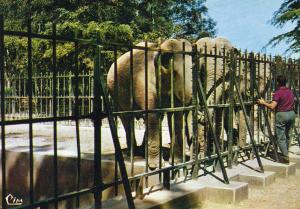 69 Jardin zoologique de Lyon