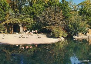 L'Ile aux Flamants Roses