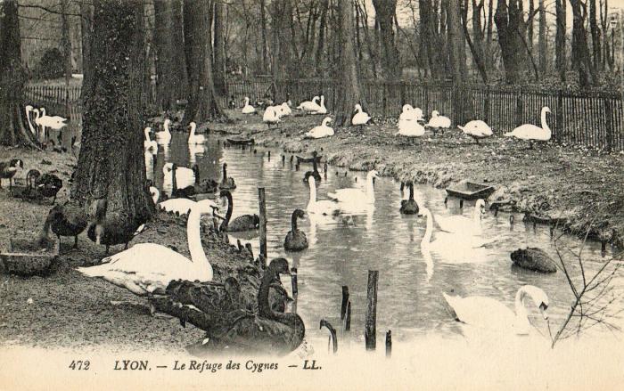Le Refuge des Cygnes