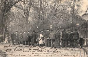 Devant les Cages aux Singes - 1905