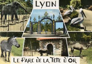 Le Parc de la Tête d'Or - 1963