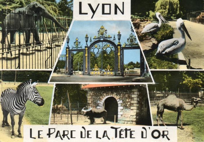 Le Parc de la Tête d'Or - 1963