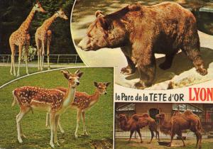 Le Parc de la Tête d'Or