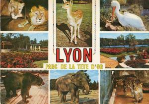 Le Parc de la Tête d'Or