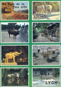 Le Parc de la Tête d'Or