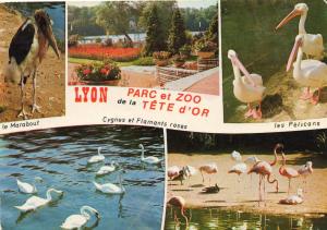 Le Marabout, Les Pélicans, Les Flamants, Les Cygnes
