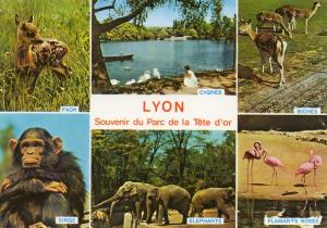Le Parc de la Tête d'Or - 1974