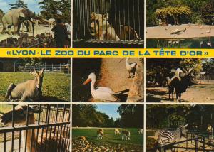 Les Animaux du Parc - 1993