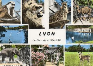 Le Parc de la Tête d'Or