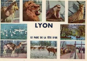 Le Parc de la Tête d'Or