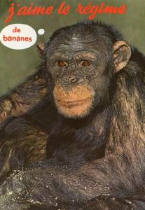 Animaux humoristiques