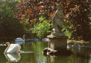 Cygnes
