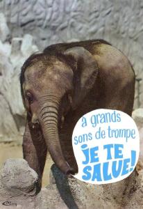 Animaux humoristiques - 1974