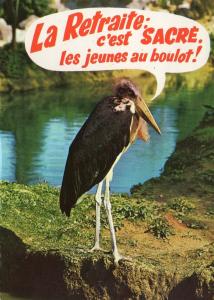Animaux humoristiques - 1980