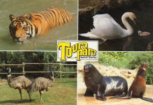 Tigre au bain - Cygne - Emeus - Otaries - 1988