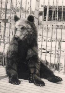 Jardin Zoologique Billard