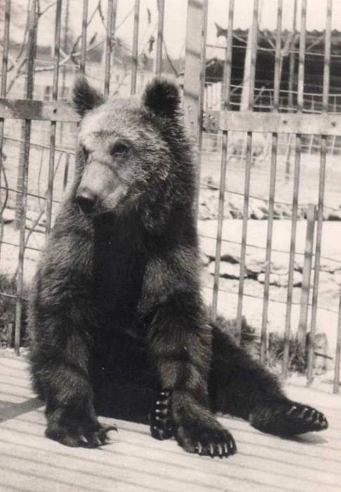 Jardin Zoologique Billard