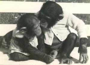 Jardin Zoologique Billard