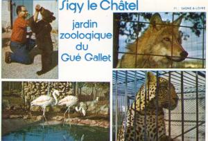 Jardin Zoologique du Gué Gallet