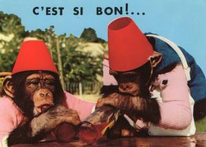 Animaux Humoristiques - 1979