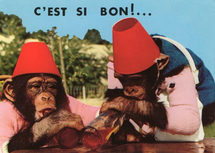 Animaux Humoristiques - 1979