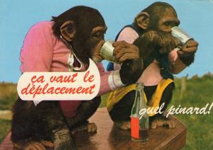 Animaux Humoristiques - 1983