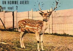 Animaux Humoristiques - 1978
