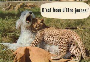 Deux amis !