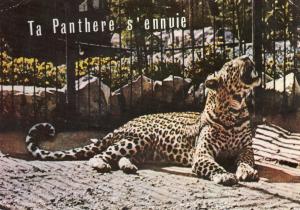 71 Jardin Zoologique du Gué Gallet
