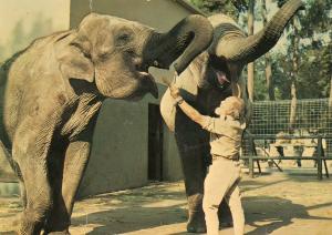 72 Zoo de La Flèche