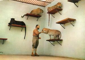 Jacques Bouillault et ses panthères