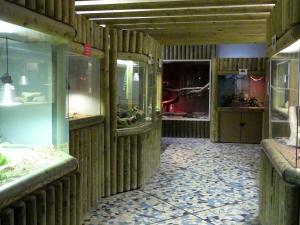 Vivarium