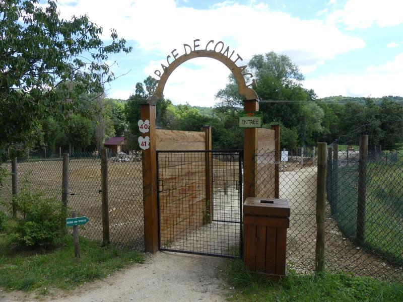 Alpaga - Mara - Nandou
